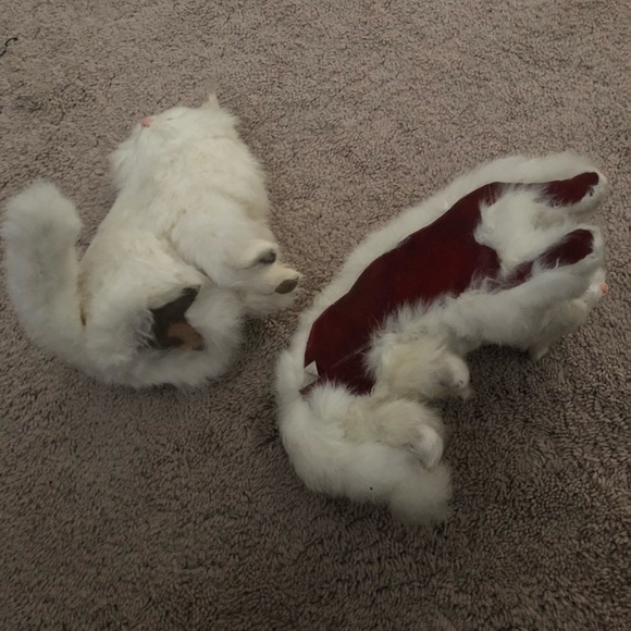 Faux Fur Kittens - Picture 5 of 5